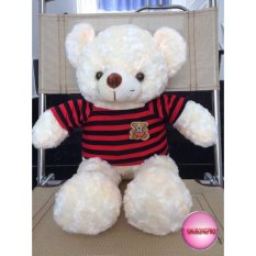Gấu Bông Teddy Cao Cấp Size 50Cm Vnxk(Kem)