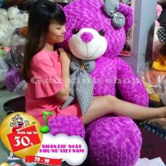 Gấu Bông Teddy Khổ vải 1m cao 80cm – Quà tặng dễ thương