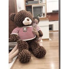 Gấu bông Teddy màu nâu – Khổ vải 1,2m cao 1m VNXK