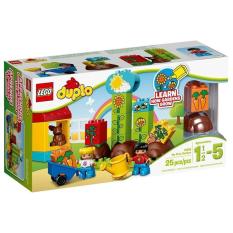 Hộp LEGO Duplo 10819 Khu Vườn Đầu Tiên Của Bé 25 chi tiết