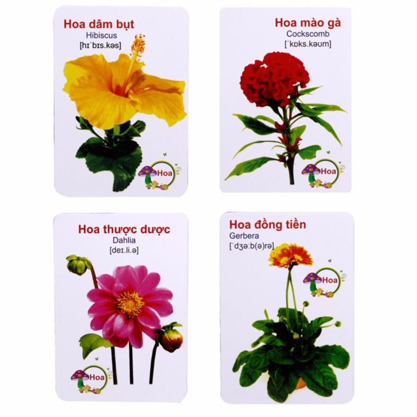 Hình ảnh Thẻ học thông minh 16 chủ đề cho trẻ nhỏ