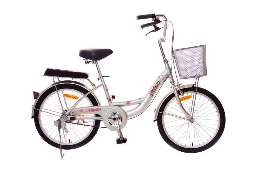 Xe đạp trẻ em Asama THL 20 (Bạc)
