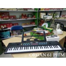 Đàn PIANO cho người mới học đàn, Đàn 61 phím