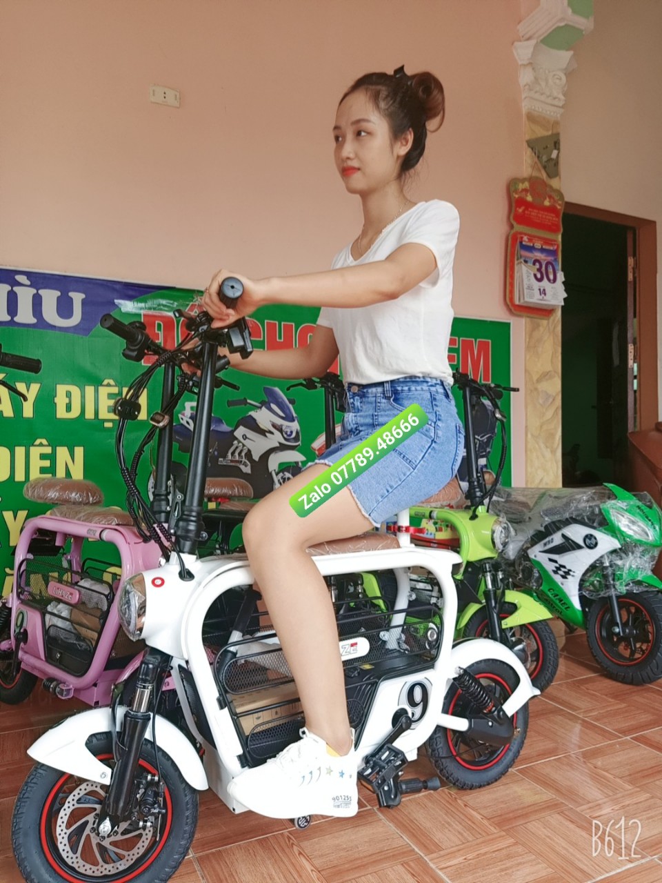 XE KHÔNG BAO GỒM PIN LIHAZE- TẠI HCM- xe đạp điện gấp gọn- xe đạp điện mini- xe đạp điện-...