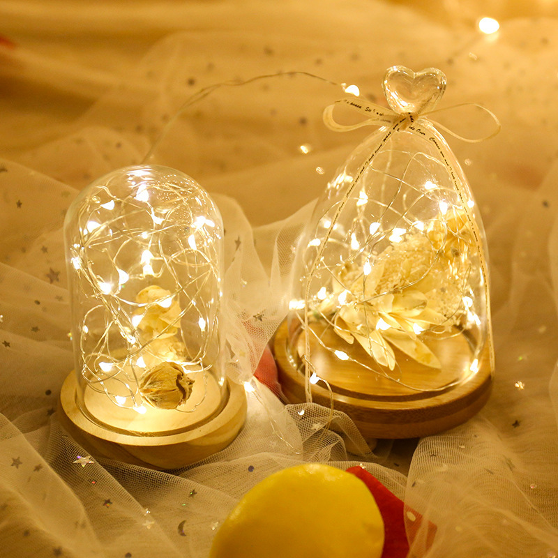 Đèn LED Đom Đóm Fairylight Trang Trí Decor Nhà Cửa - Có 3 Chế Độ - Kèm Sẵn Pin (1...