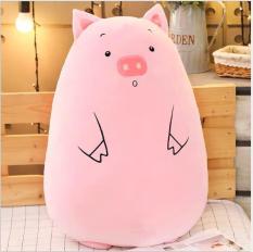 Gấu Bông Ôm Hình Mèo Tròn Siêu Mềm Mịn Ngộ Nghĩnh (2 Size)