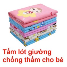 Tấm Lót Chống Thấm 3 In Hình Lớp Xuất Nhật 80x120cm