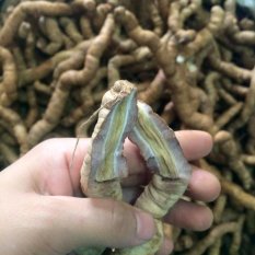Ba Kích Tím Quảng Ninh 1kg