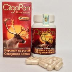 Nơi Bán Nhung hươu CigaPan
