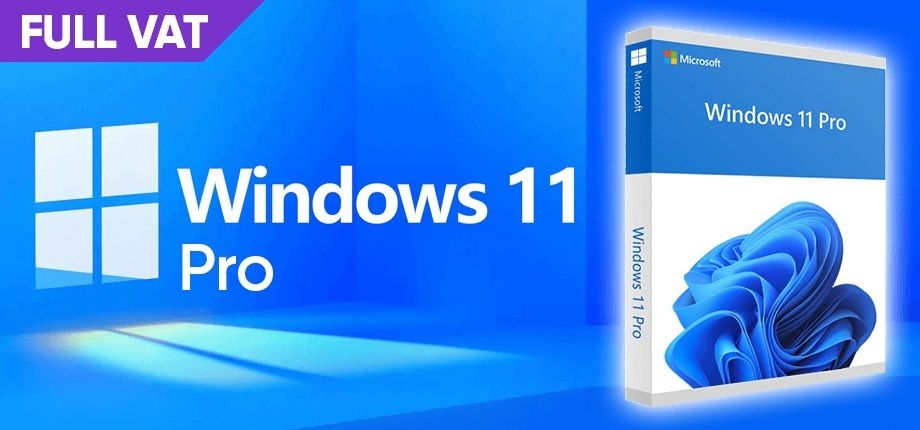 Windows 11 Professional DSP OEI DVD (Full VAT)