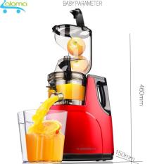 Máy ép hoa quả rau củ tốc độ chậm cỡ lỡn HongXin RH312 ép được nguyên cả quả