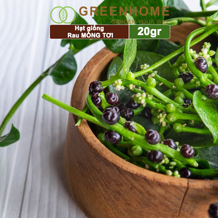 Hạt giống rau Mồng tơi, gói 20g, dễ trồng, thu hoạch nhanh R11 |Greenhome