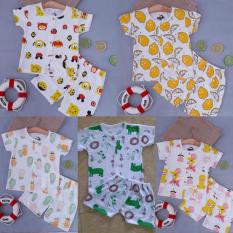 set 5 bộ cộc tay cài cúc giữa hình hoa quả
