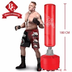 BG – Bao cát Trụ đấm đá Boxing PILE