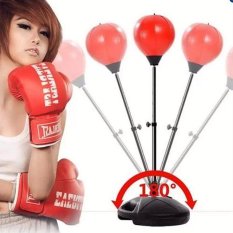 Bộ bóng phản xạ tốc độ-TPS