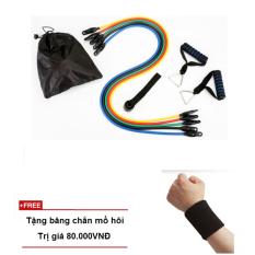 Bộ dây đàn hồi tập thể lực Zeno