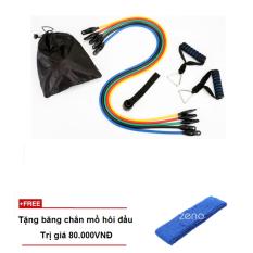 Bộ dây đàn hồi tập thể lực Zeno + tặng băng chắn mồ hôi đầu