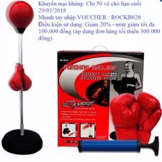 Bóng đấm boxing phản xạ cao cấp 2017.