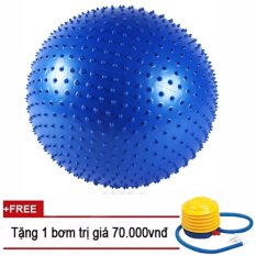 Bóng tập Yoga có gai 75cm Sportmax Màu Xanh (Tặng 1 bơm tay)