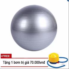 Bóng tập Yoga+ Kèm bộ dụng cụ bơm hơi TPS Trơn 65CM (Màu Ghi)