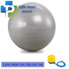 Bóng tập Yoga và massage Gym cao cấp+ Kèm bộ dụng cụ bơm hơiTPS Trơn 75CM