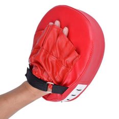 Quyền anh Đá Đấm-Quốc Tế