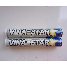 Combo 2 Ống Cầu Lông Vina Star (Bạc)