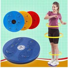 Đĩa xoay eo tập thể dục Waisttwisting Diet 360 độ Tmark