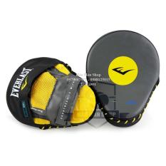 Đích đấm Everlast