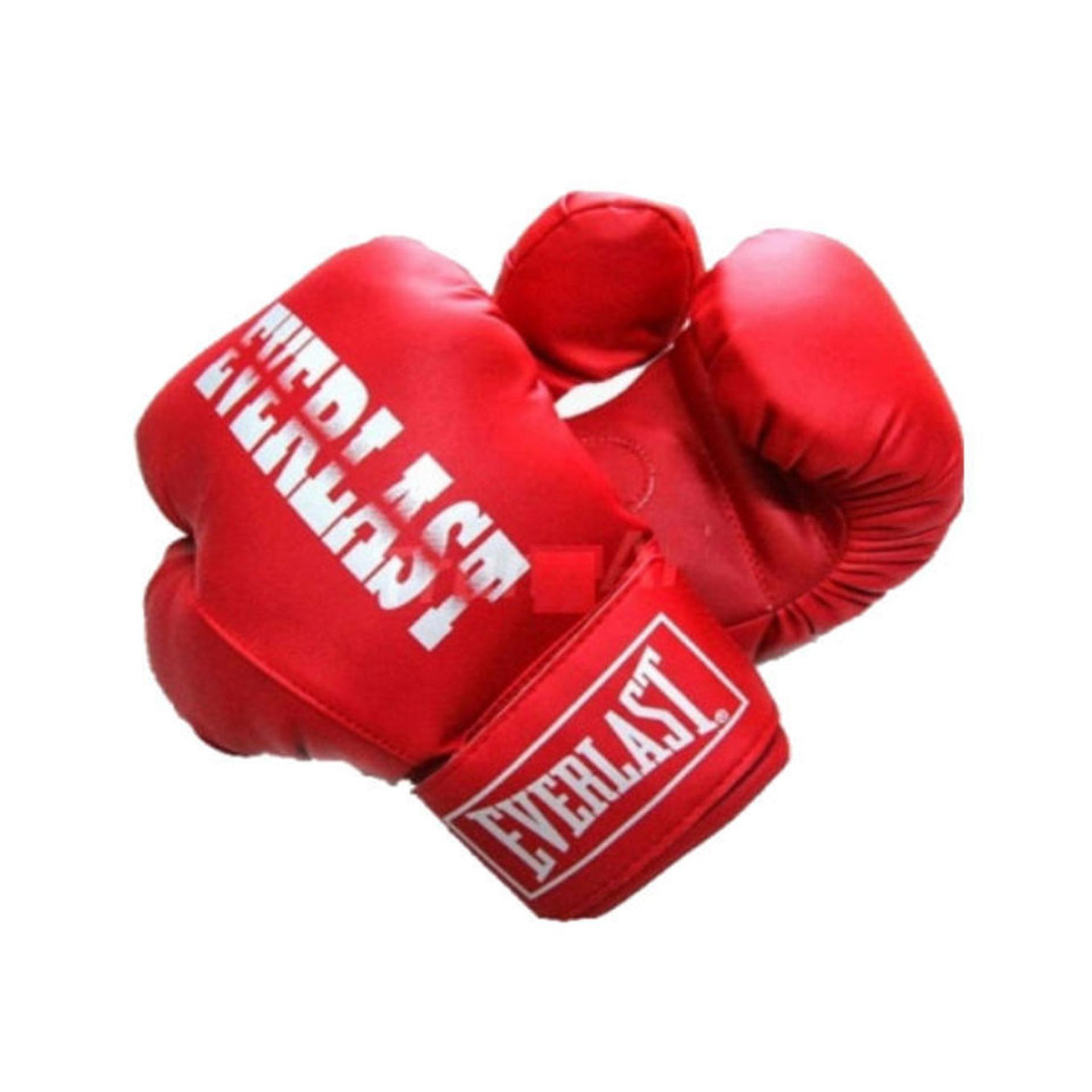 Găng đấm boxing Everlast phucthanhsport (Đỏ)