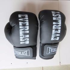 Găng Tay Boxing Everlast 8.0z (Đen)
