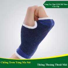 Găng Tay Tập Thể Hình 02 Chiếc (Xanh)