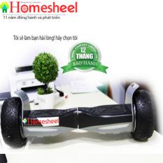 HOMESHEEL PRO LOẠI 1