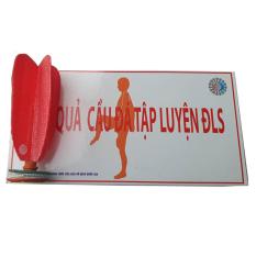 Hộp quả cầu đá tập luyện TLS