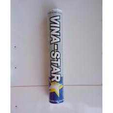 Ống Cầu Lông Vina Star (Bạc)
