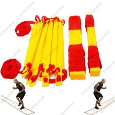 Thang dây thể thao tập luyện thể lực bóng đá 5m 10 thanh, nâng cao sức khỏe, thể lực và tầm vóc – DD