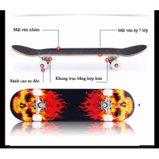 Ván trượt Skate Board trẻ em loại lớn (Trên 10 tuổi)