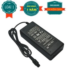 XẠC XE ĐIỆN CÂN BẰNG Homesheel LOẠI 1 USA