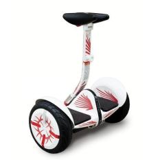 Xe điện cân bằng HOMESHEEL MINI PRO 9 USA