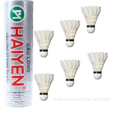 Hộp cầu lông hải yến 6 trái
