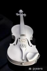 Đàn Violin Gỗ 4/4 Màu Trắng Trơn Full Phụ Kiện