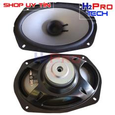 Loa Toàn Dải hàng bãi hình Bầu Dục bass 16×23 40W âm Cực Hay