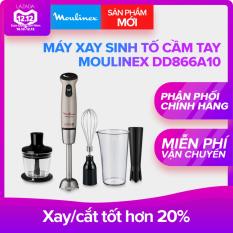 Máy xay sinh tố cầm tay Moulinex DD866A10 (Xám bạc)
