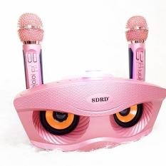 Loa blutooth karaoke SDRD 306