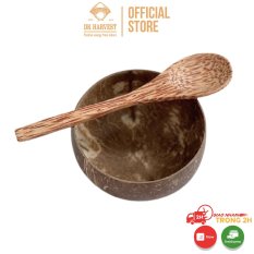 Combo Chén/ Bát gáo dừa + Muỗng gỗ dừa DK Harvest – Loại size lớn 12 – 14cm