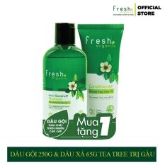 Combo Dầu Gội 250g & Dầu Xả 65g Fresh Organic Tea Tree Trị Gàu