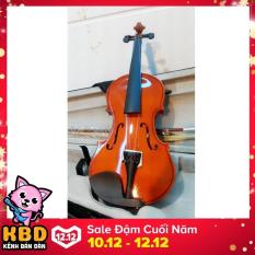 Đàn violin gỗ TL-100