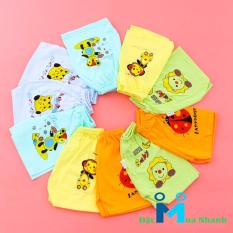 Combo 10 quần đùi cho bé