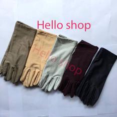 Combo 5 đôi Găng tay màu 3 tấc co giãn, thoáng mát phù hợp cho các bạn học sinh, sinh viên, nhân viên văn phòng (Màu sắc giao ngẫu nhiên)