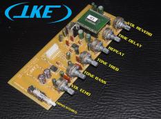 BO Mạch Echo Reverb DSP Có Chống Hú Tận Hưởng đẳng cấp của vang số